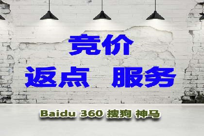 网络推广中的竞价广告：成功案例解析